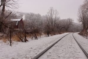 "Lake Meyer Railroad (2 of 3)"