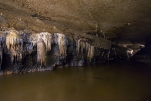 "Coldwater Cave 9"