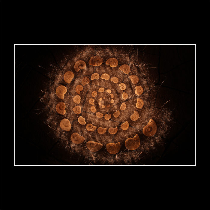 MACLURITES SPIRAL GALAXY