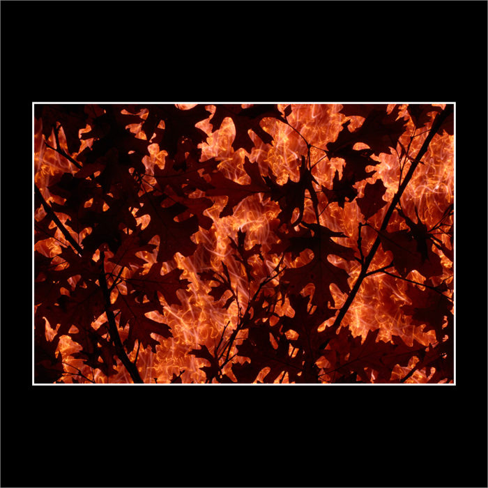 FALLFIRE