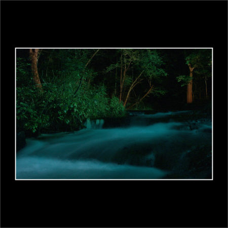BLUE VELVET