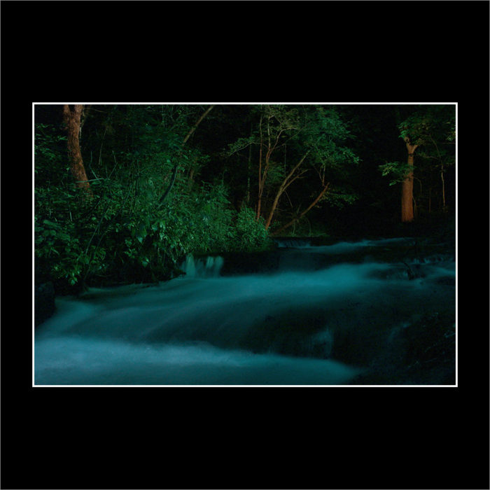 BLUE VELVET