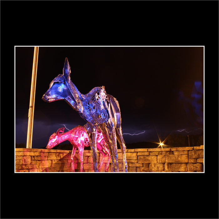 ELECTRIC DEER