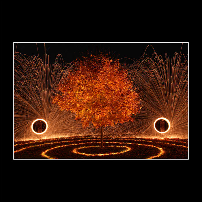 FIERY MAPLE
