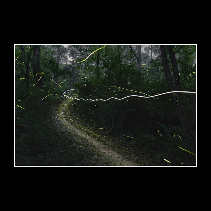 HIKING AMONG FIREFLIES