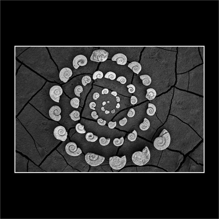 MACLURITES SPIRAL GALAXY- B&W